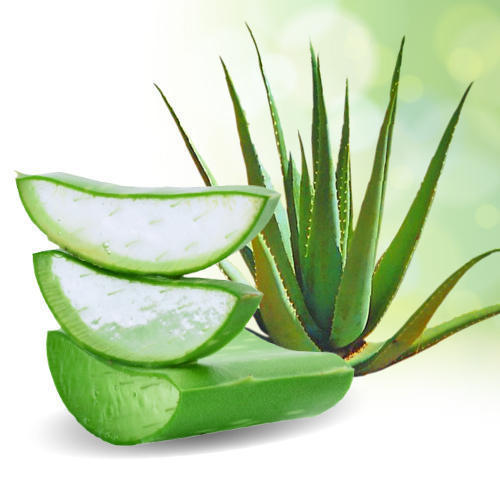 aloe-vera-for-stomach-ulcers