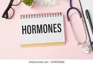  hormones-2.jpg