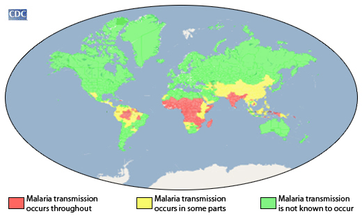 malaria-infectious disease- distribution.jpg