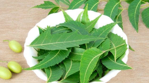  neem-leaves-for-fungal-infection.jpg