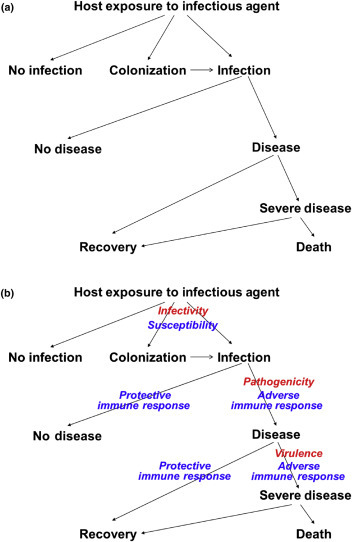  possible-outcomes-of-an-infectious-agent-1.jpg