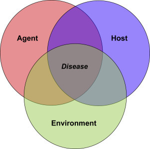 triad-model-of-infectious-disease-causation.jpg